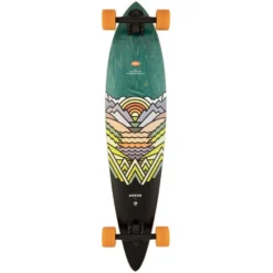 Arbor Artist Fish Longboard