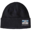 Patagonia Brodeo Beanie
